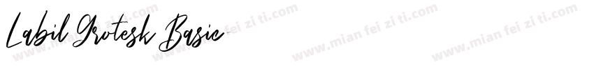 Labil Grotesk Basic字体转换